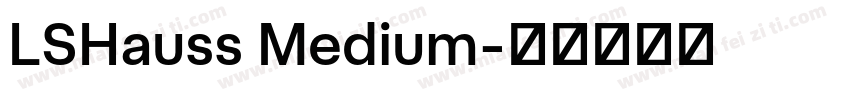 LSHauss Medium字体转换